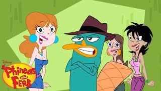 Agent P Theme Song  | Phineas and Ferb | Disney XD