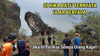 Gempar Lagi.! Ular Bertapa Menjadi Batu Muncul Di Jawa Timur