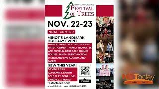 ND Today: Festival of Trees in Minot