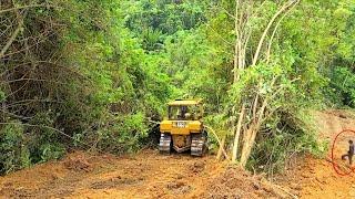 Heavy Equipment Bulldozer Working Caterpillar Dozer Operator Opening Plantation Road