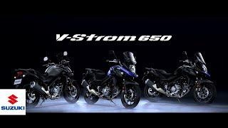 Color Lineup | 2024 V-Strom 650 | Suzuki