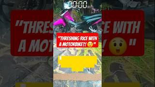 DIY Rice Thresher – Motorbike Tire as a Threshing Tool