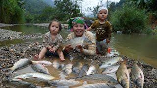 Catch giant river fish with your children and bring them to the market on rainy days