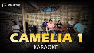 CAMELIA 1 KARAOKE NADA COWOK PRIA