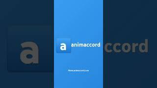 animaccord studio