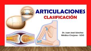  ARTICULACIONES, Clasificación Fácil, Rápida y Sencilla