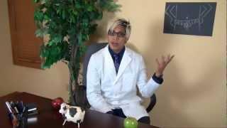 School of Energy: Water Up, Fire Down - (Become a Happy Cow)