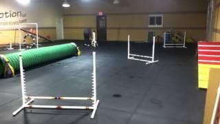 Agility Teams Training at DIM