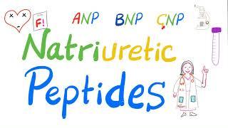 Natriuretic Peptides | ANP, BNP & CNP | Atrial Natriuretic Peptide, Brain Natriuretic Peptide | Lab