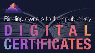 Digital Certificates Explained - How digital certificates bind owners to their public key