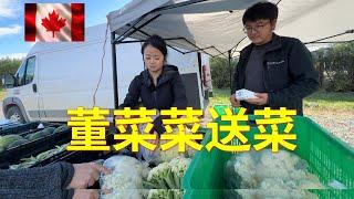 【董菜菜和王果果】他们都觉得卖菜像打仗，春天的春耕更主动更轻松。