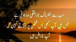 Aqwal e zareen new|Aqwal e zareen in Urdu|Urdu quotes|Urdu Islamic quotes|best Urdu Quotes Mix