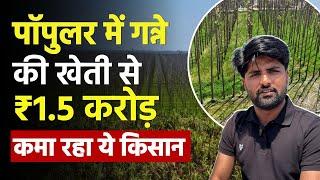 This Young farmer from Haryana earns 1.5 crores from Sugarcane & Poplar intercropping | Agroforestry