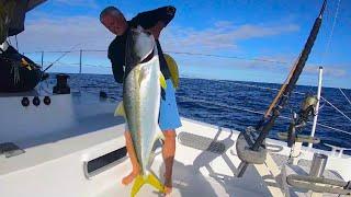 Catching Giant Kingfish / Yellowtail at the Holy Grail : Mount Vema!