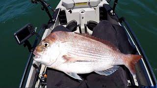 Kayak fishing for Snapper | Snapper fishing Melbourne Port Phillip Bay