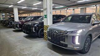 Свежее поступление Hyundai Palisade, Staria, Custin, Tucson 2024 года! В наличии в Москве с ПТС!