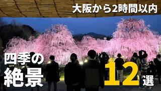 【保存版】大阪から２時間以内の「日本の四季の絶景」１２選