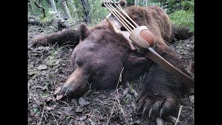 One of the Largest Black Bears ever Shot in Wyoming