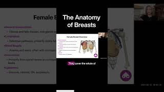 The Anatomy of Breasts | Mastectomy Guide