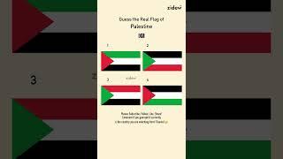 Guess the Real Flag 94 • Palestine • IQ • zidew #flag #quiz #country #geography