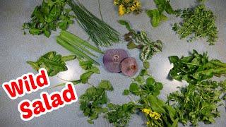 Foraging From My Yard - salad from 16 weeds, wild mushrooms, and Ginkgo nuts