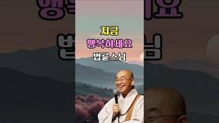 행복을 나중으로 미루지 마세요 | 법륜스님의 행복 | 행복을 위한 인생 절대 법칙  #좋은글 #명언 #삶의지혜
