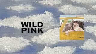 Wild Pink - Catholic Dracula (Official Audio)