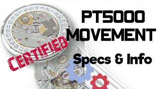 PT5000 - The Chinese Chronometer Grade Movement - How good is it? | The Watcher