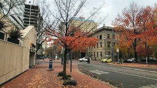 Fall Foliage in Downtown Portland Moment V2 Wide Lens Test 4K Walking Tour Video