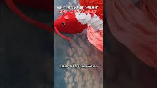 植物染非遗传承人制作“好运锦鲤”，祝考生“历经时光而愈发耀眼”（记者：芦懿）