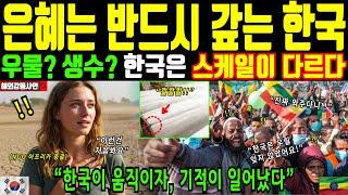 [Overseas touching story] Korea that always repays favors. Korea repaid its debt 100 times 70 yea...