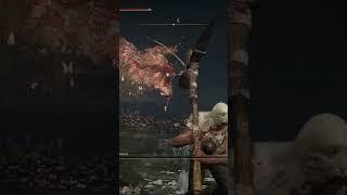  The waterfowl dance almost tore my *** off... ▼ Elden Ring