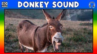  DONKEY SOUND - DONKEY SOUND EFFECT - SOUND OF DONKEY - NOISE OF DONKEY