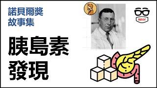 糖尿病救星-胰島素的發現｜弗雷德里克班廷與胰島素 |壞壞諾貝爾獎故事集|Doctor J今晚說故事