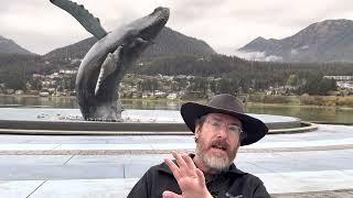 Alaska- When to see whales?