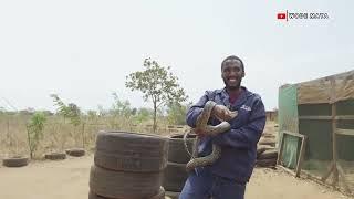 This Malawian Man Live With Snakes & Game Animals…