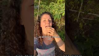 Harvesting Jamaican cherries  #fruit