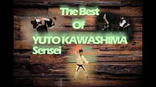 SHORINJI KEMPO THE BEST of YUTO KAWASHIMA SENSEI