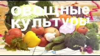 Большие города. Акмол