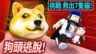 ROBLOX 巨大狗頭逃脫！我的貓貓被抓走了！你可以找到+救出所有小貓嗎?!【Doge Head Escape - 有感筆電】