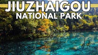 Jiuzhaigou National Park: A Nature's Paradise Unveiled | China Travel Guide