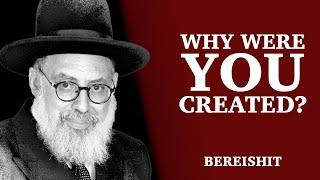 Parashat Bereishit | Why Were You Created? | Rabbi Yaacov Haber