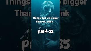 Things that are bigger than you think #random #reels #thingsthatarebiggerthanyouthink #shorts