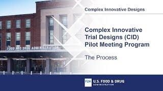 Complex Innovative Trial Designs Pilot Meeting Program: The Process