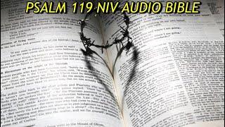 PSALM 119 NIV AUDIO BIBLE (with text)