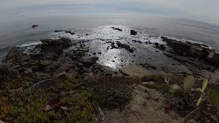 10 minutes of Beach Vibes at the Cliffs in Laguna Beach