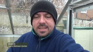 Sean's Allotment Garden 10: Raspberries, Heating the Greenhouse, Amaryllis