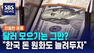 달러 대신 '이것'…각국 "한국 돈 원화도 늘려두자" / SBS / 친절한 경제