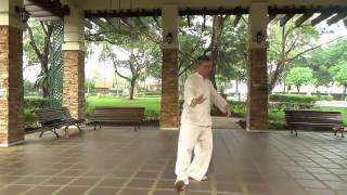 Yang Style TaiChi Form 108