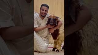 شباب البومب 10  - عـامـر الكنترول  كفووو  فخامة تصميم/ رهيب ¦ جديد2022 HD